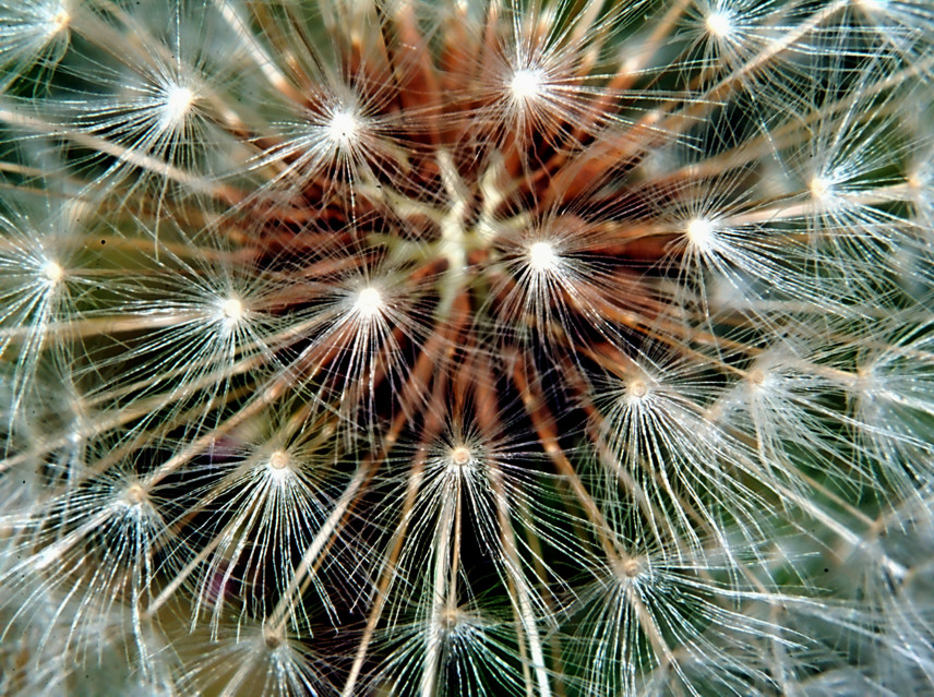Nuovi scatti primaverili